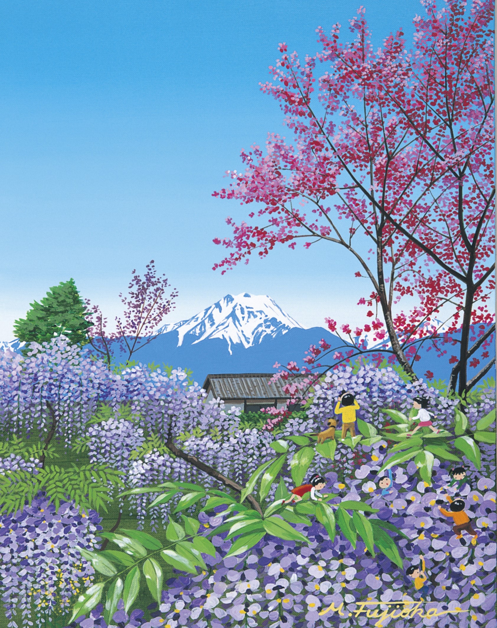 山のアルバム - 藤岡 牧夫｜Fujioka Makio